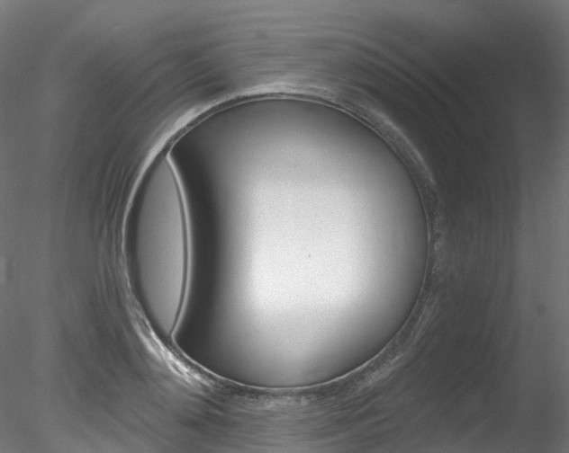 X0000078280892200611031013