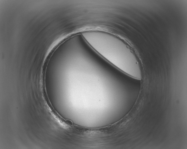 X0000078280894200611031013
