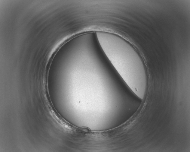 X0000078280896200611031013