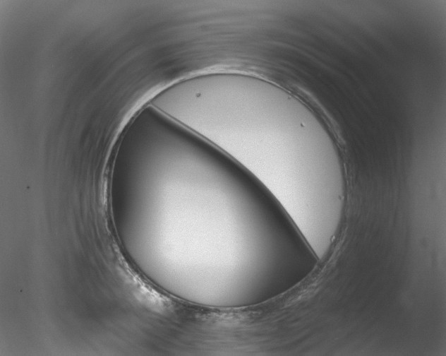 X0000078280900200611031013