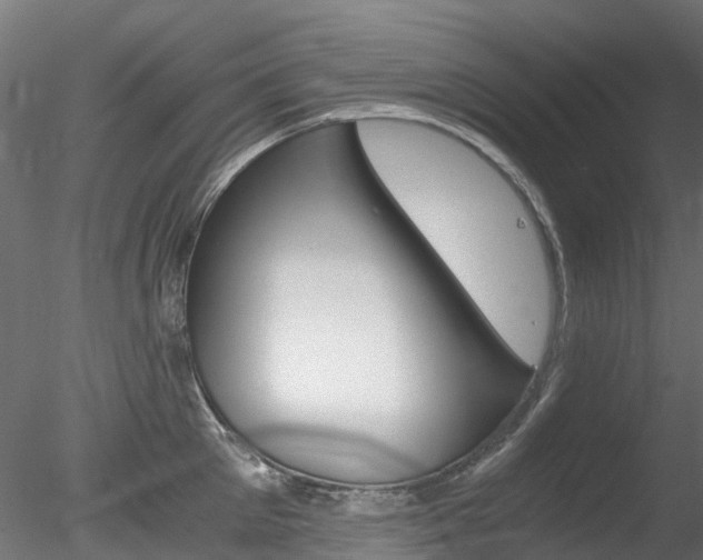 X0000078280905200611031013