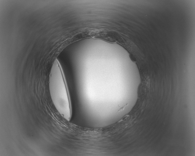 X0000078280914200611031012