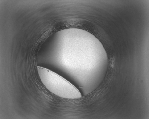 X0000078280915200611031012