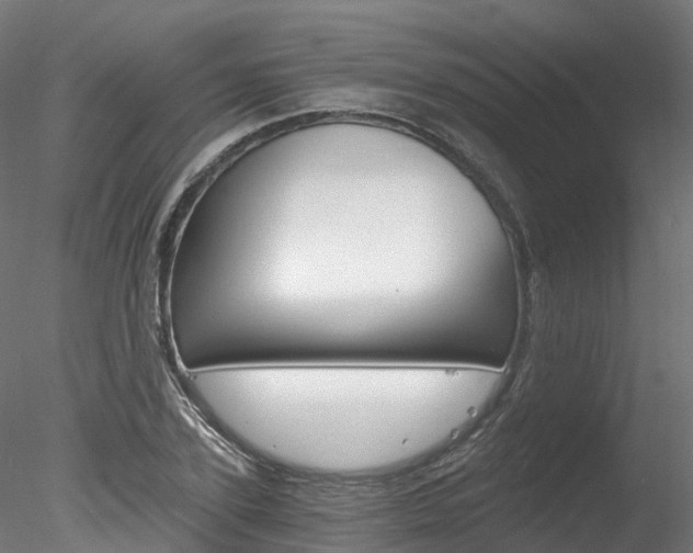 X0000078280931200611031013