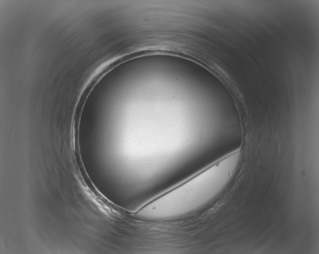 X0000078280940200611031013