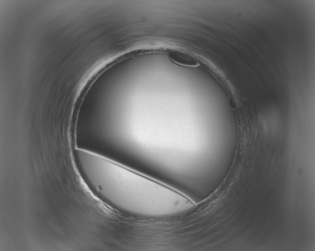 X0000078280943200611031013