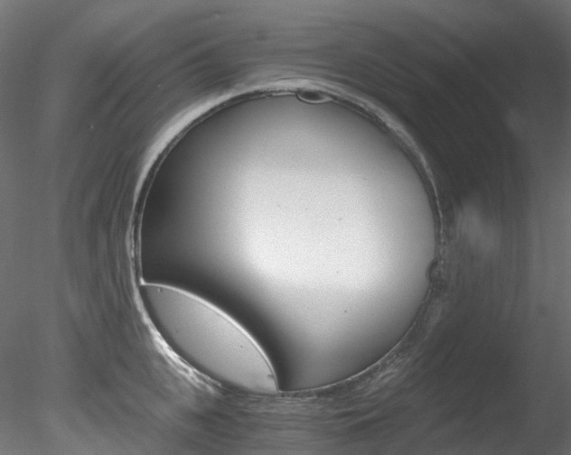 X0000078280951200611031013