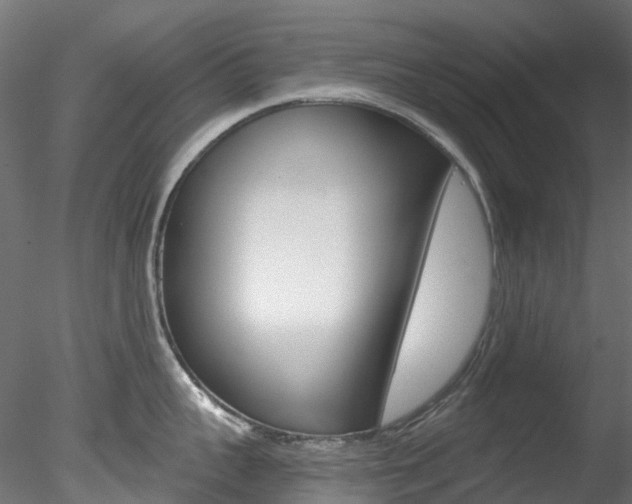 X0000078280959200611031013
