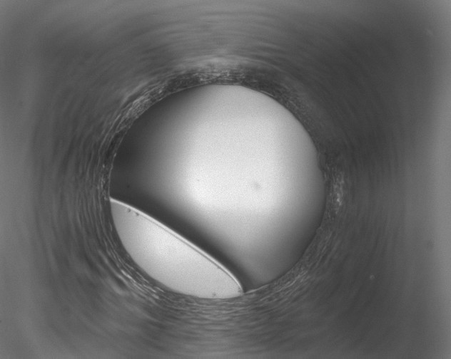 X0000078280964200611031012