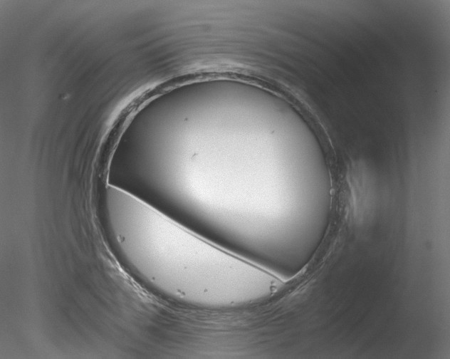 X0000078280979200611031012