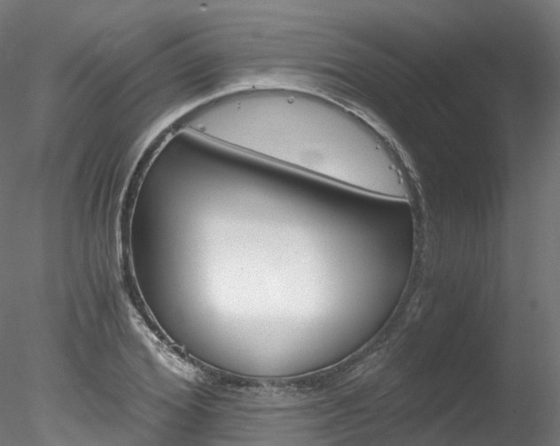 X0000078280980200611031012
