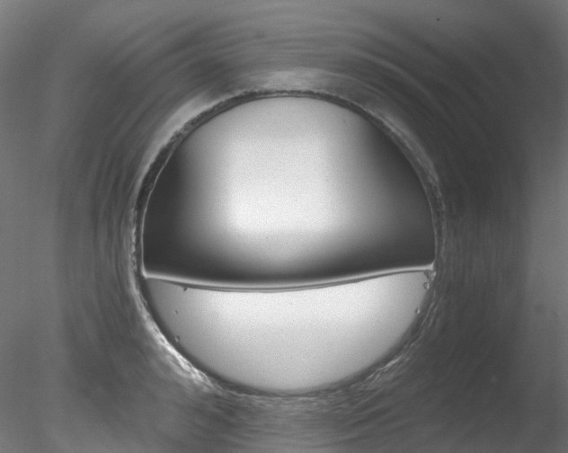 X0000078280992200611031012