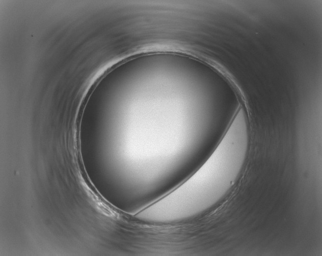 X0000078280996200611031012