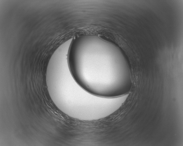 X0000078281010200611031011