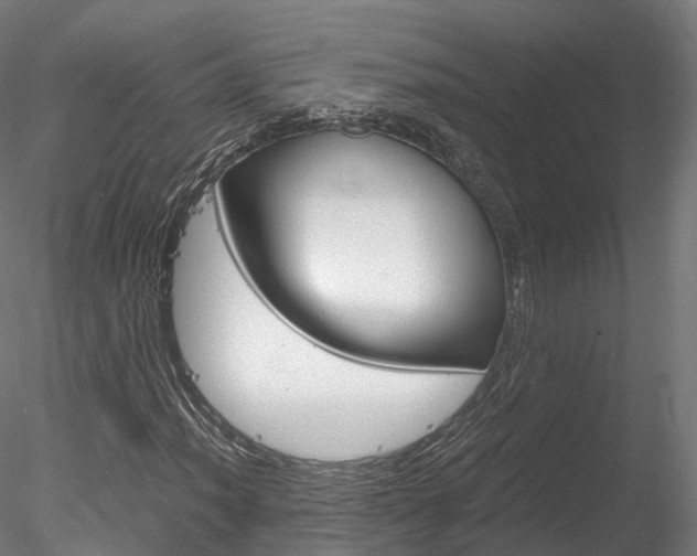 X0000078281012200611031011