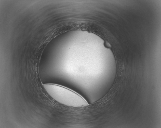 X0000078281013200611031011