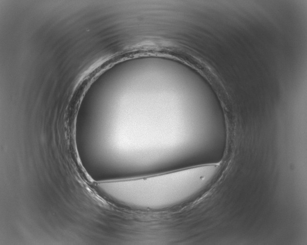 X0000078281018200611031011