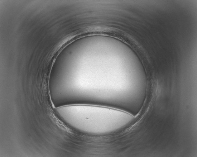 X0000078281025200611031011