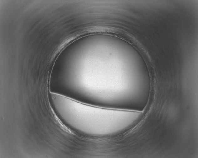 X0000078281033200611031011