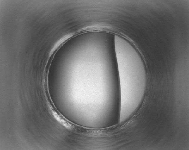 X0000078281042200611031011