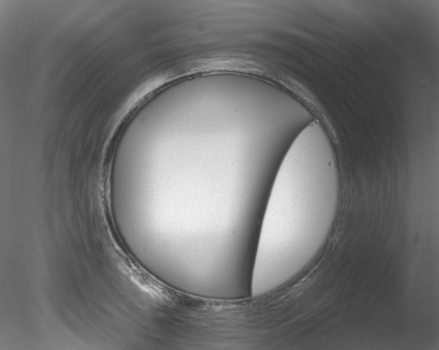 X0000078281043200611031011