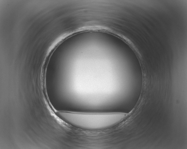 X0000078281046200611031011