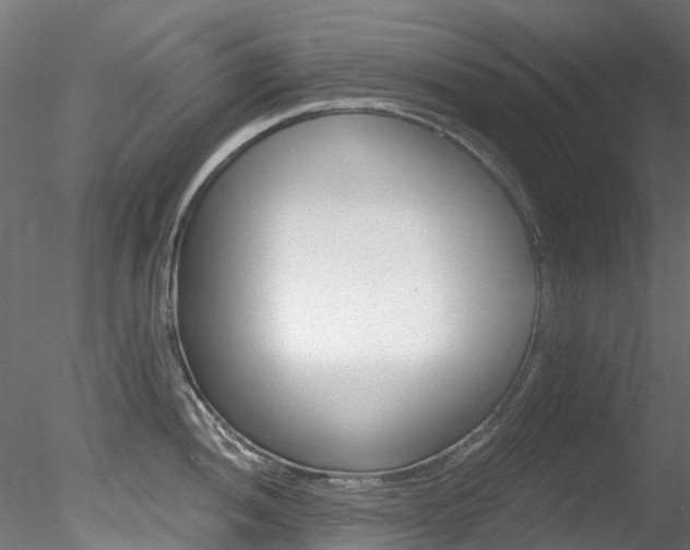 X0000078281052200611031011