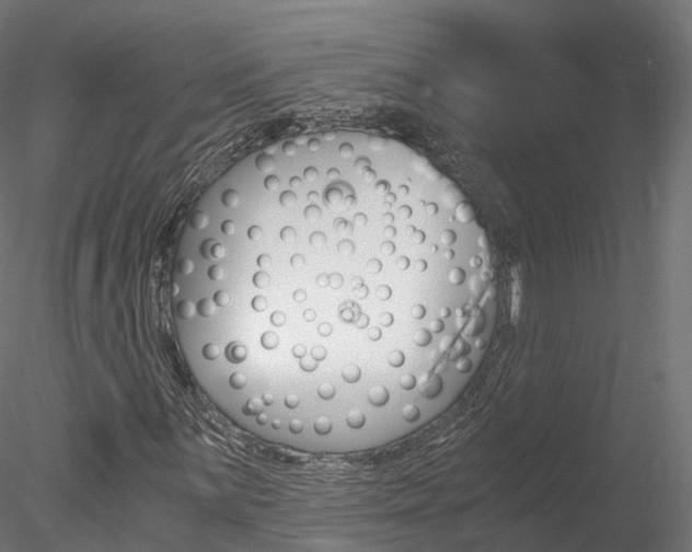 X0000078281059200611031011