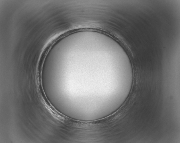 X0000078281072200611031010