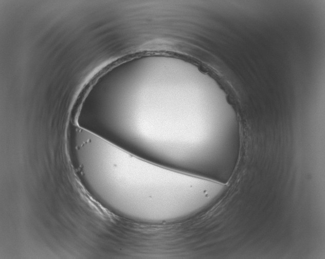 X0000078281076200611031010