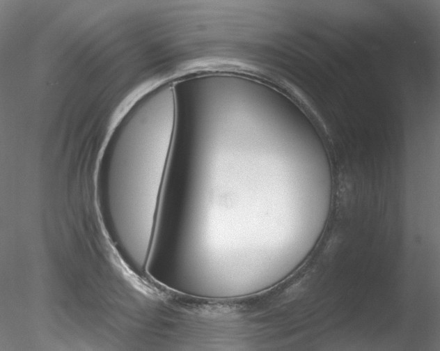 X0000078281082200611031010
