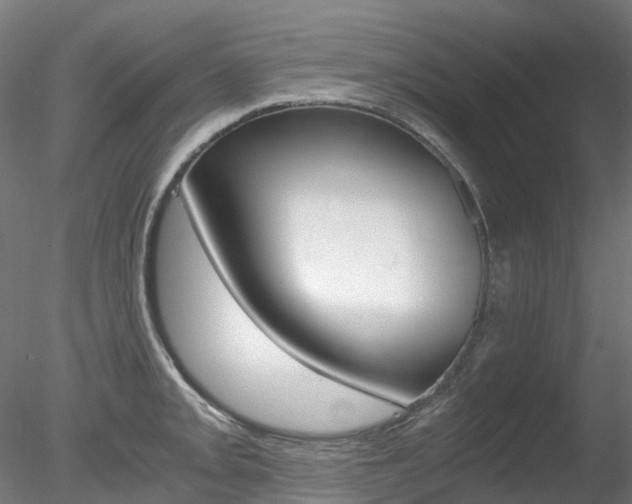 X0000078281093200611031010