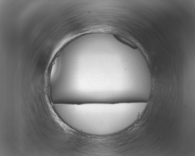 X0000078281099200611031010