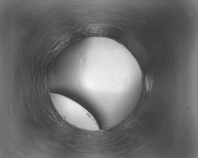 X0000078281107200611031009
