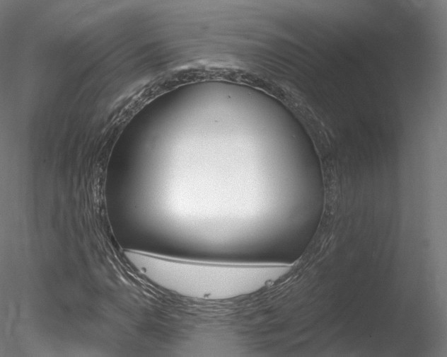 X0000078281110200611031009
