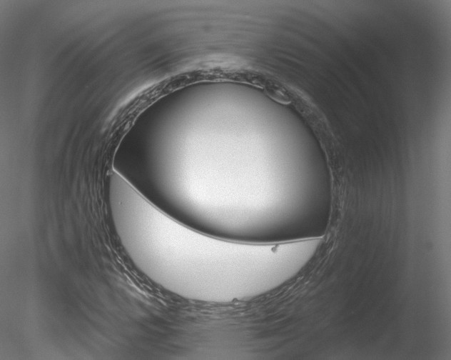 X0000078281112200611031009