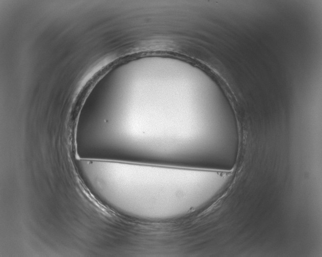 X0000078281119200611031009