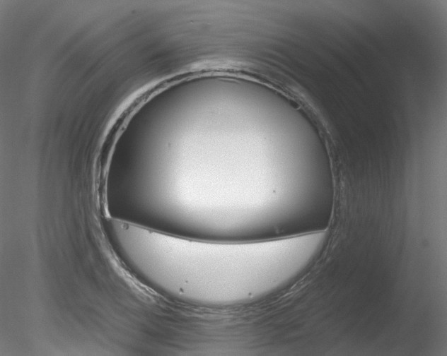 X0000078281124200611031009