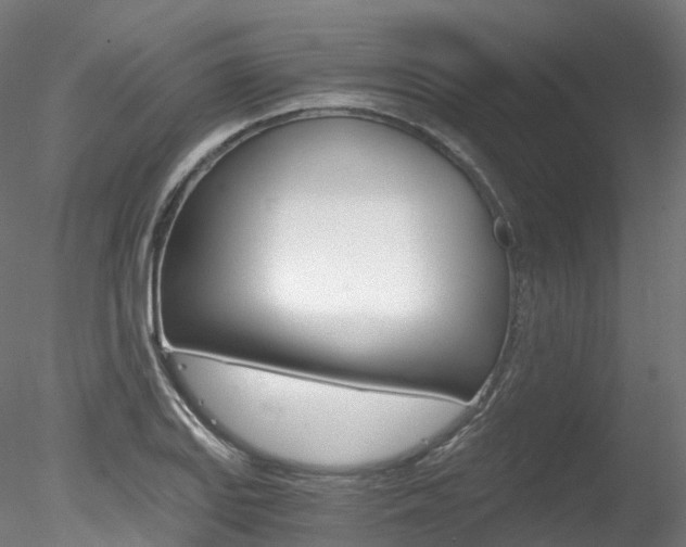 X0000078281127200611031009