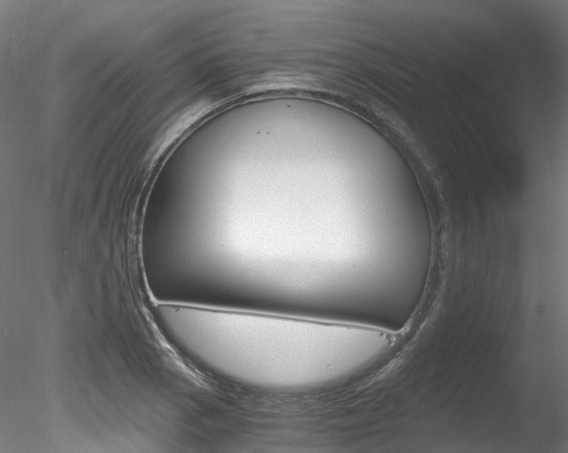 X0000078281129200611031009