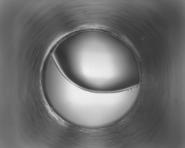 X0000078281132200611031009