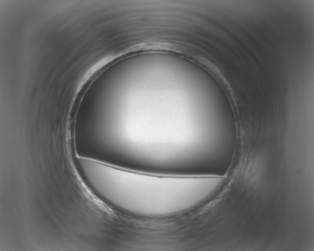 X0000078281133200611031009
