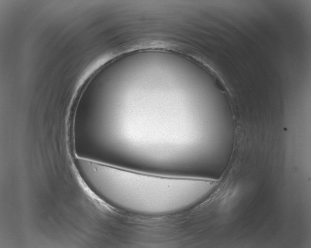 X0000078281135200611031010