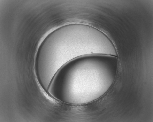 X0000078281136200611031010