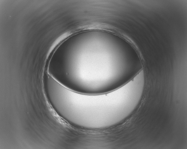 X0000078281138200611031010