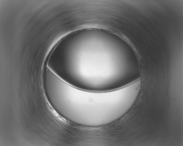 X0000078281140200611031010