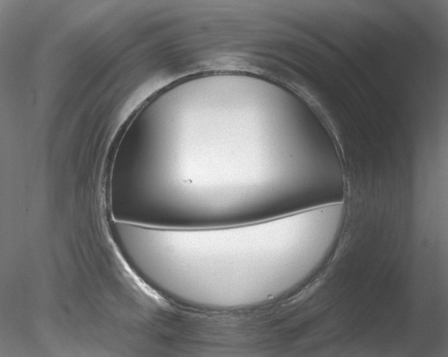 X0000078281141200611031010