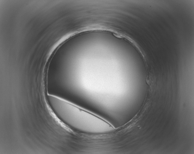 X0000078281142200611031010