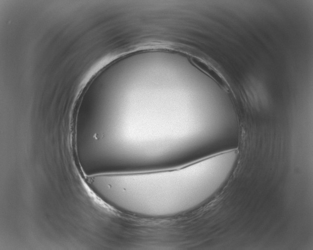 X0000078281143200611031010