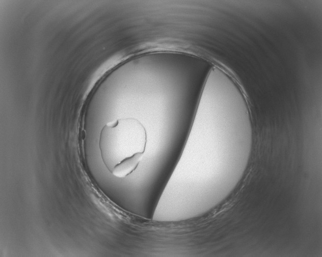 X0000078281146200611031010